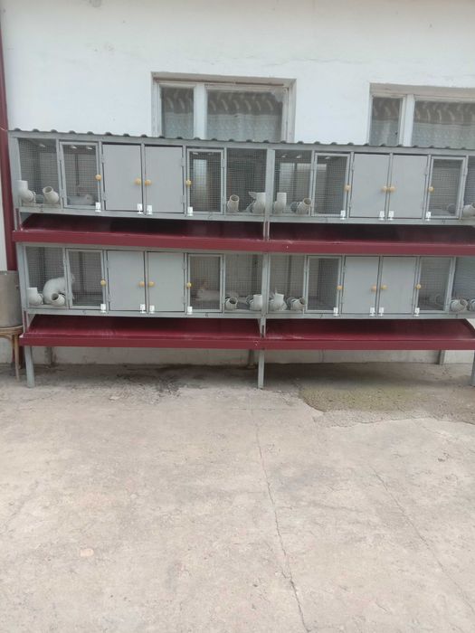 Клетки для содержания кроликов