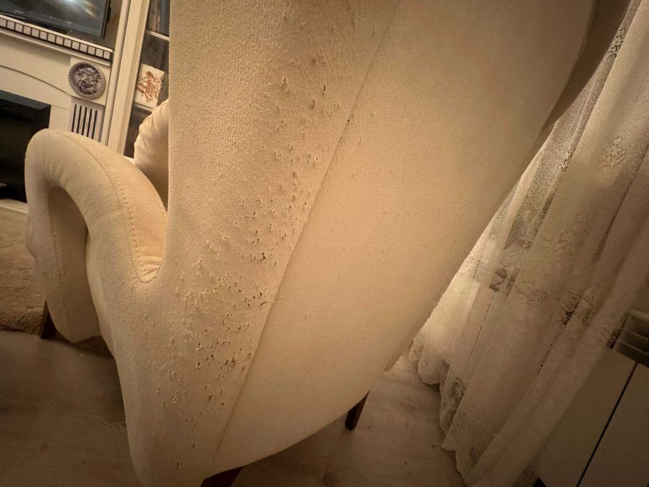 Диван и 2 бр.фотьоила