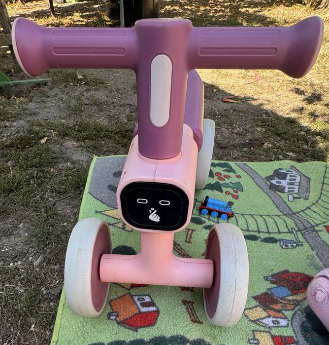 Bicicleta muzicala
