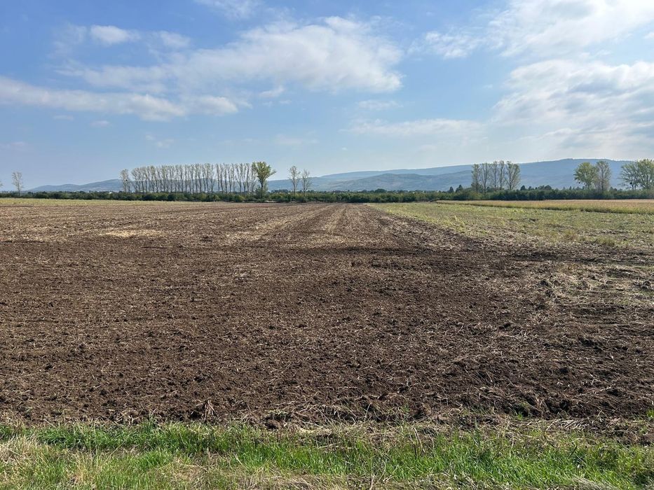 Teren Dancu deschidere la  aleea betonata
