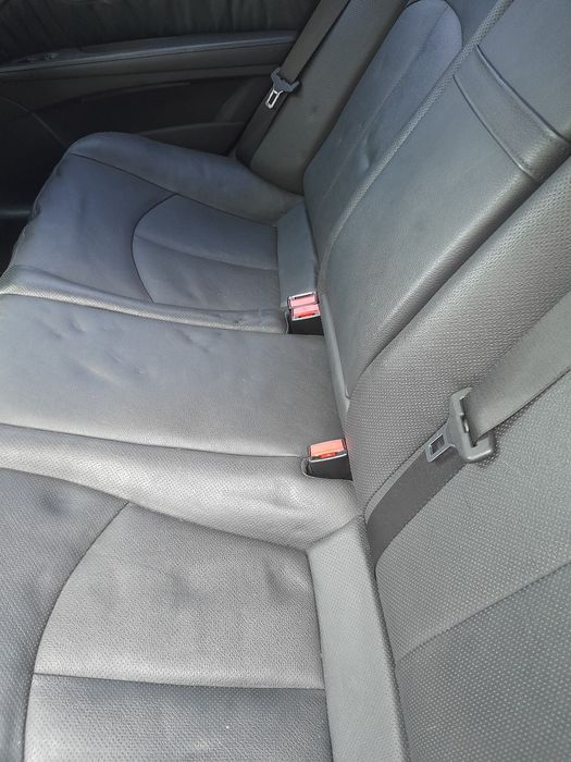 Уникално зъпазена