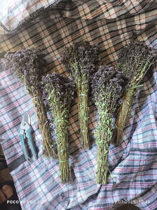 Продаются травы банные веники