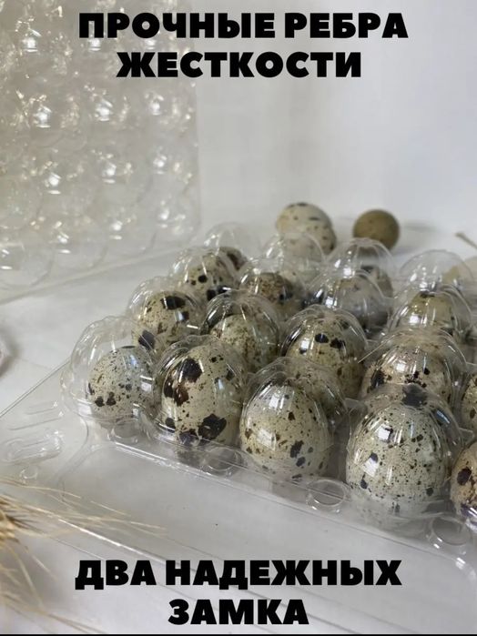 Продам контейнеры для перепелиных яиц