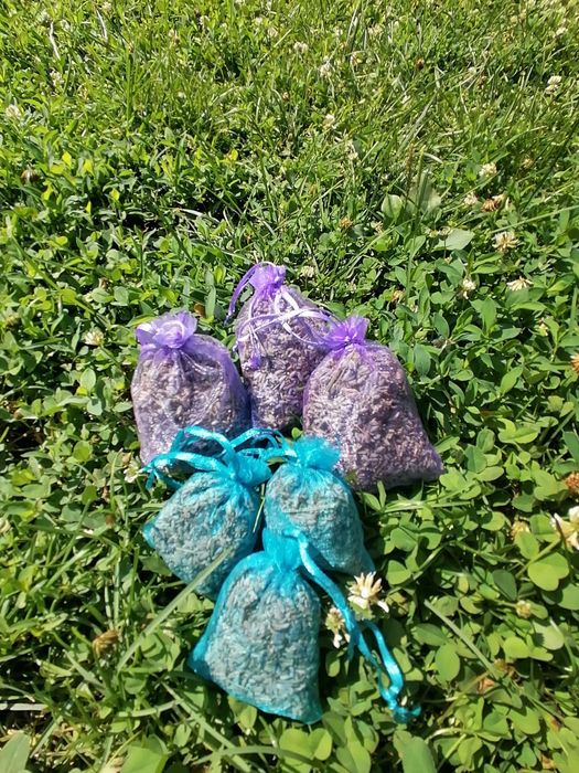 lavanda saculeti
