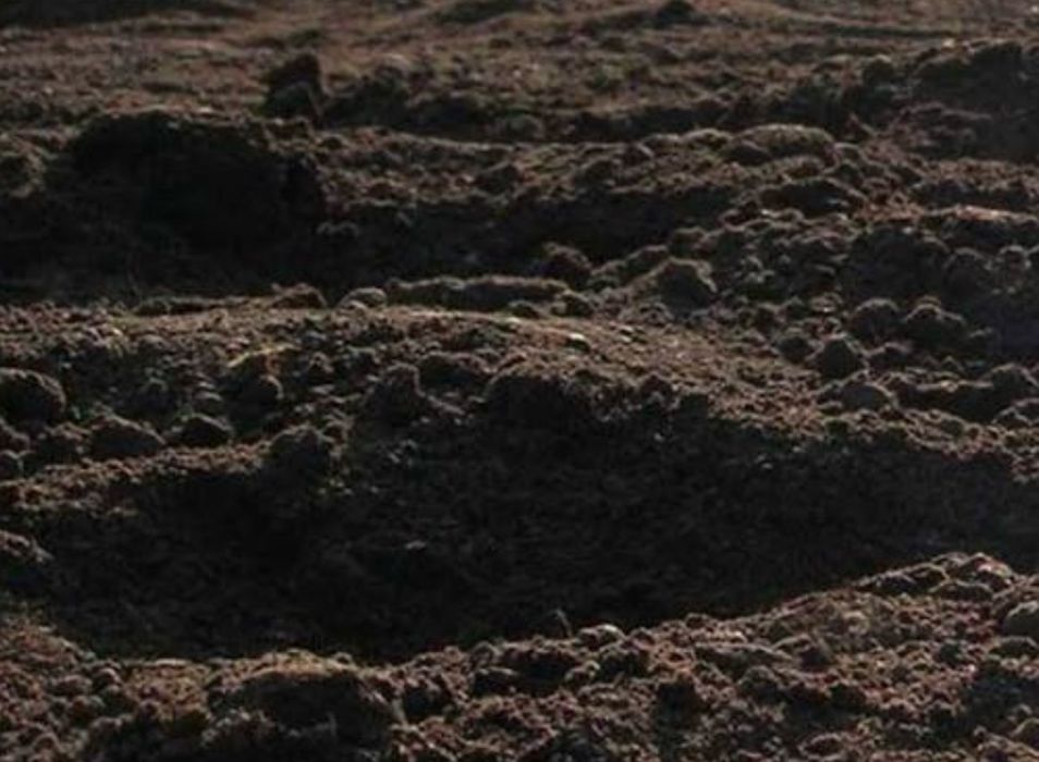 Чернозём, плодородная земля