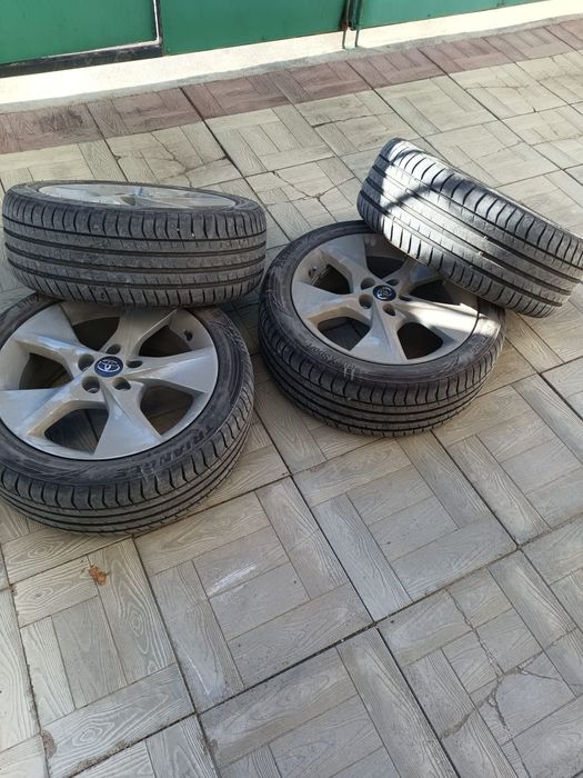 Шинасы новый диск