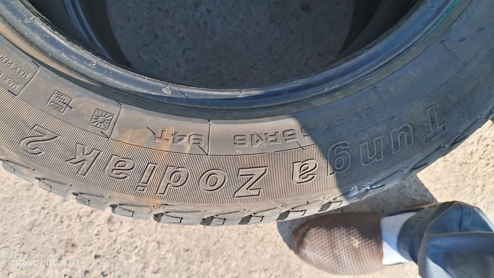 Автошина тунга зодиак2