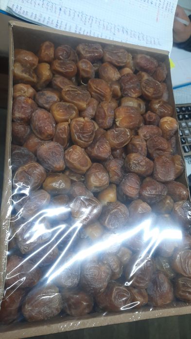 Финики суккари захиди тунис