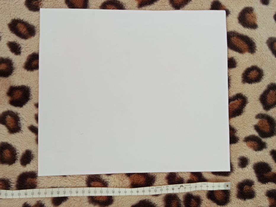 Картина " Арбузная долька для лучшего друга "