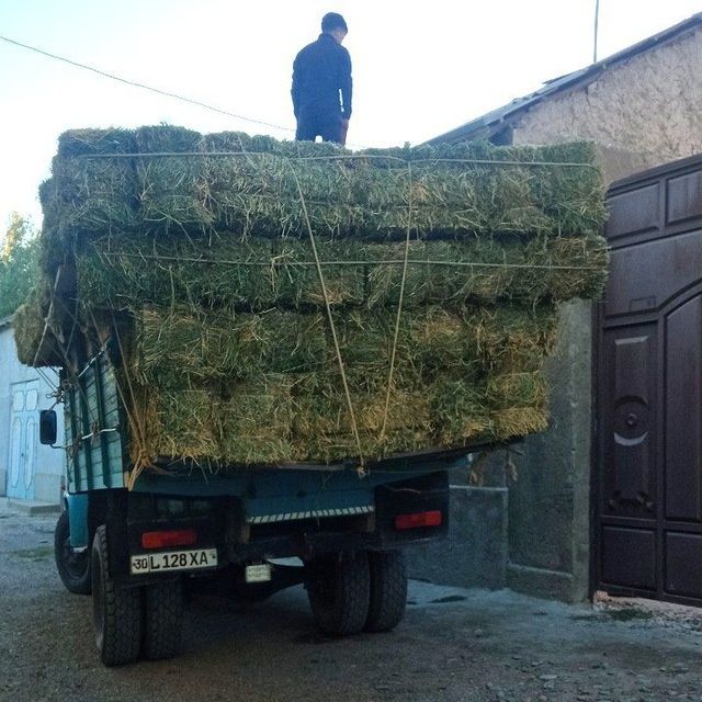 Beda pres sifatli dastavka bor