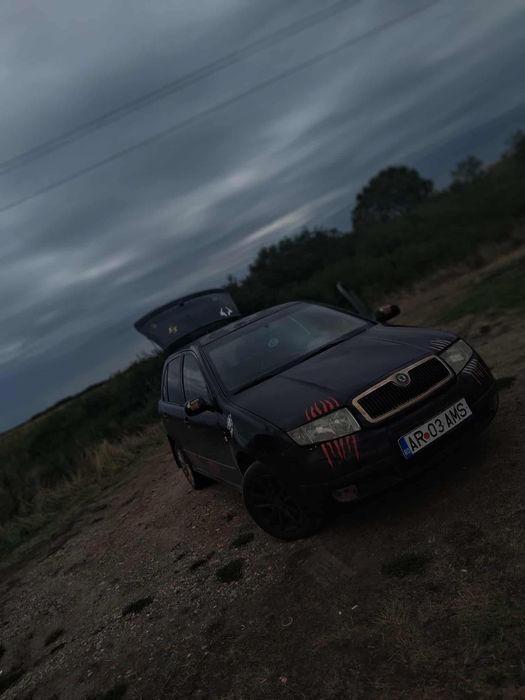 Vand skoda fabia