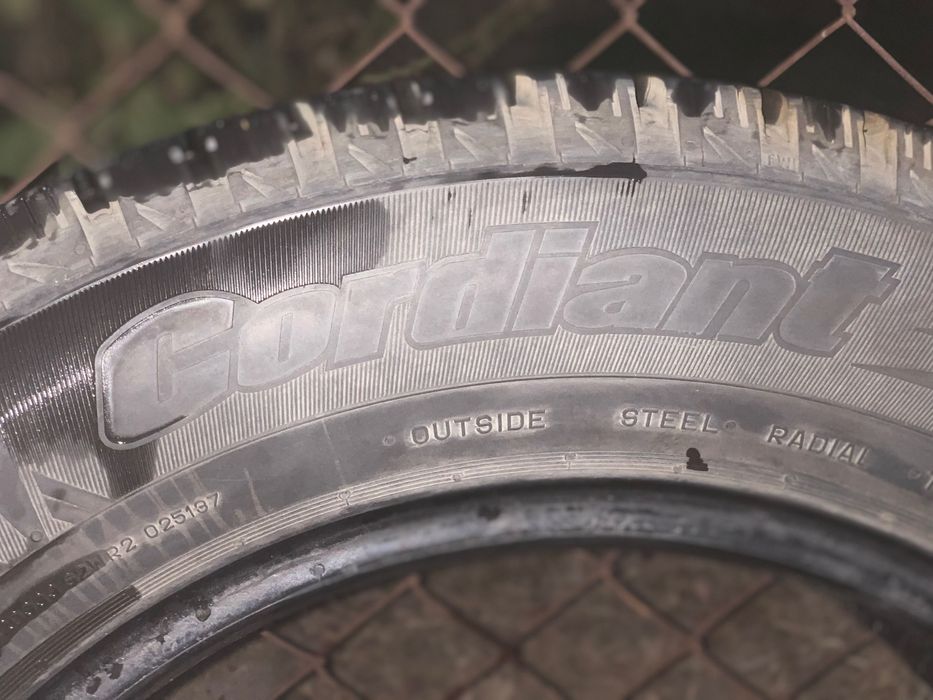 Автошины Кордиант