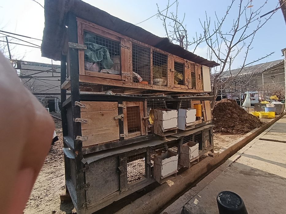 Куйонга ин 3 каватли