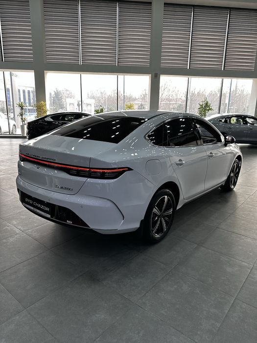 BYD Chazor Champion 55km Luxe