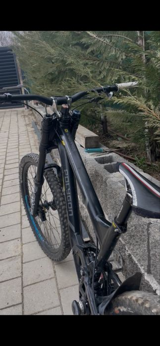 Polygon Collosus DHX