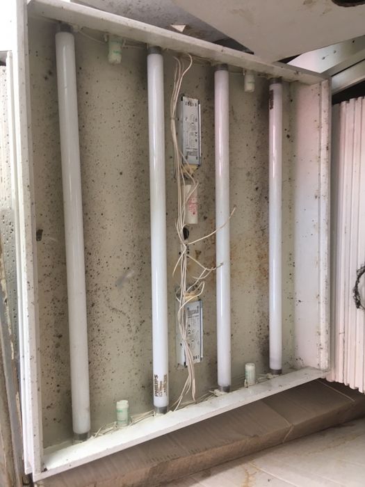 Corpuri luminat cu neon