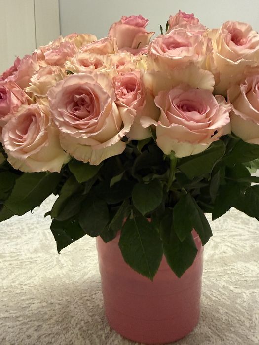 Розы свежие 51 роз