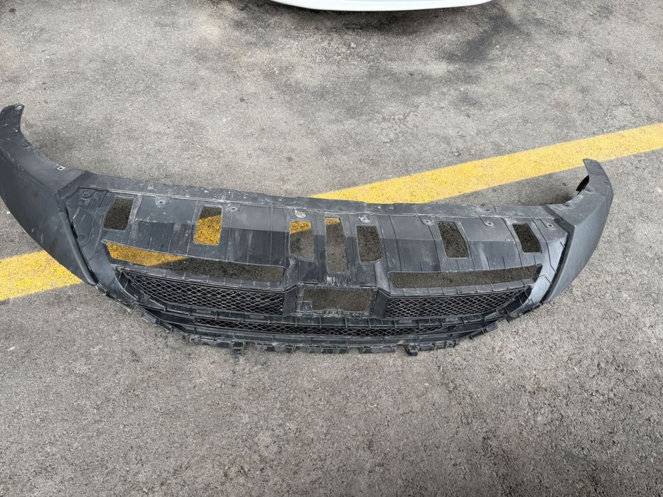 Byd chimpion oldi bamper tegidegi mativisi