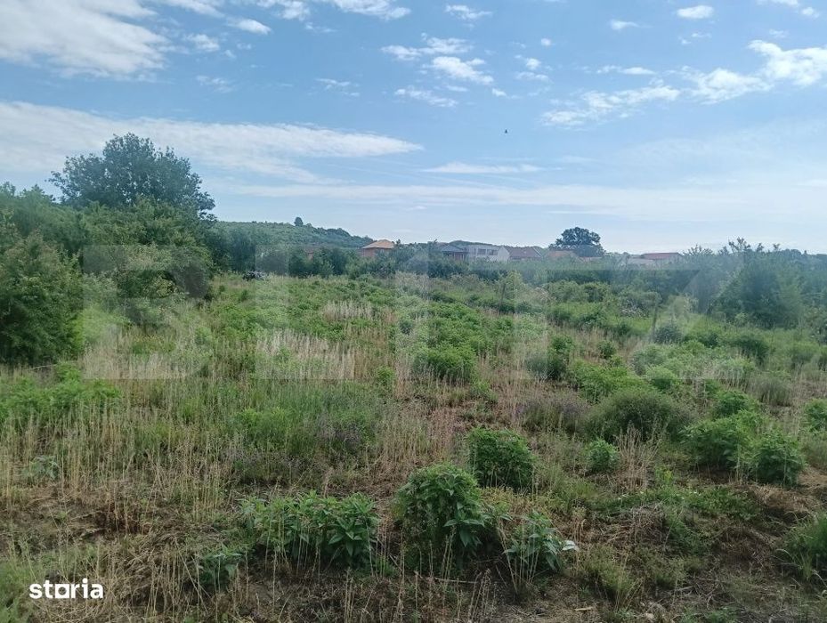 Teren intravilan, 1200 mp, Centura ocolitoare a Lugojului