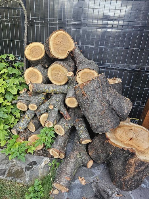 Lemn de cireș pentru foc – aprox. 1,3 m steri