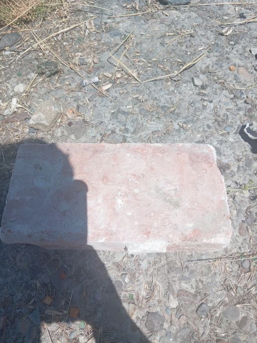 Carmida de vnzare forte bună