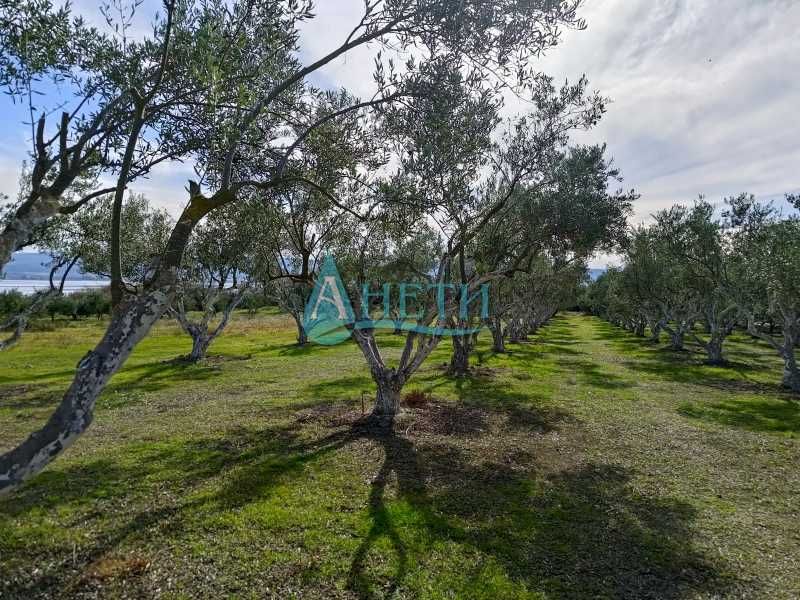 Продава се Парцел в София, Студентски град - 2000 кв.м за 6 €/кв.м - Снимка #6