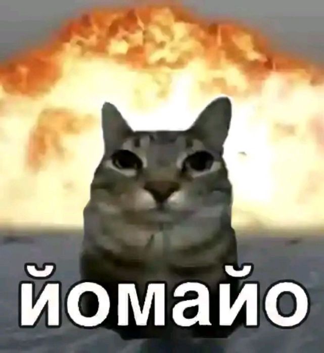 Хомяк со всем приданным