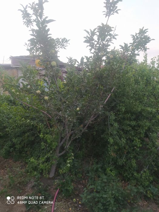 Жер жай сатылады 5 комната обмене бар 21мкр нан дом га