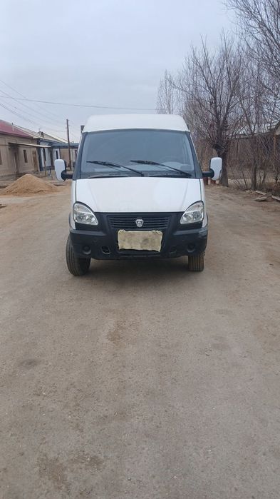 Gazel samasval sotiladi