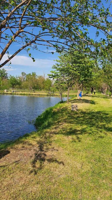 Продава се Парцел в с. Куртово Конаре, Област Пловдив - 21115 кв.м за 17 €/кв.м - Снимка #19