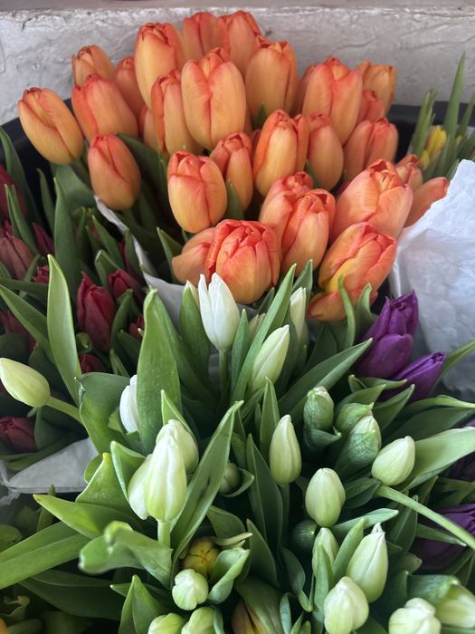 Тюльпаны Голландия.Доставка!Букеты