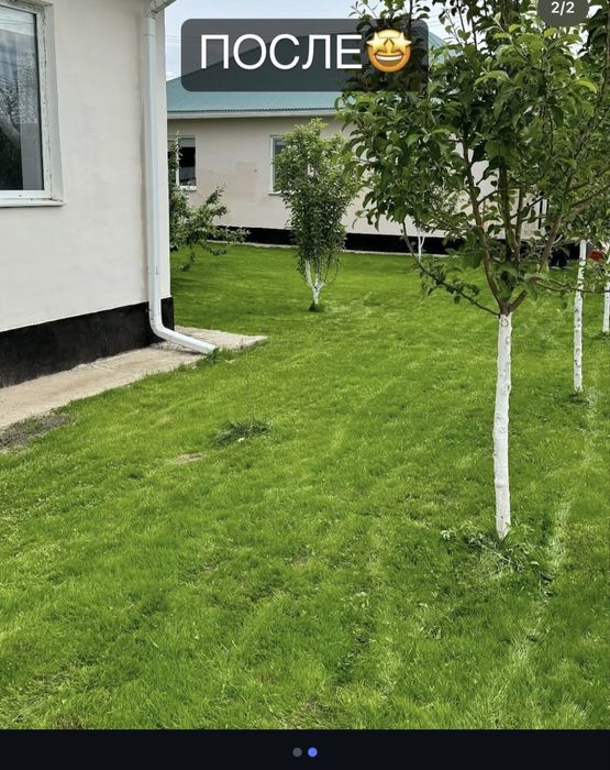 Посев газона семенами