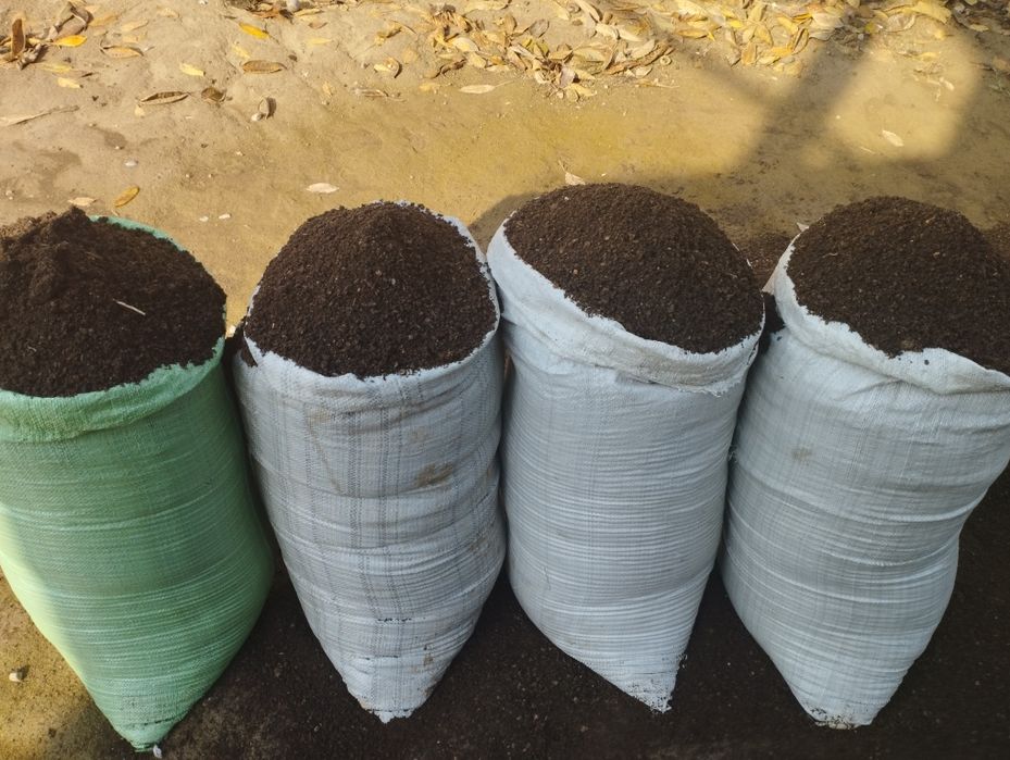 Bio-goms 03 ellakdan otkazilgan