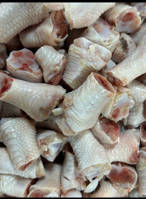 Корм для собак и кошек