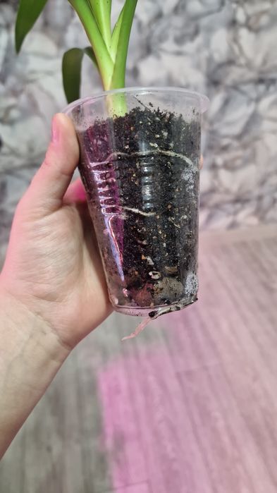 Грунт для комнатных цветов