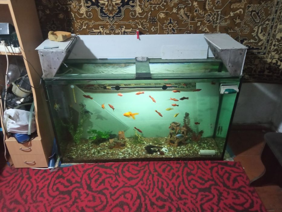 Аквариум в хорошем состоянии