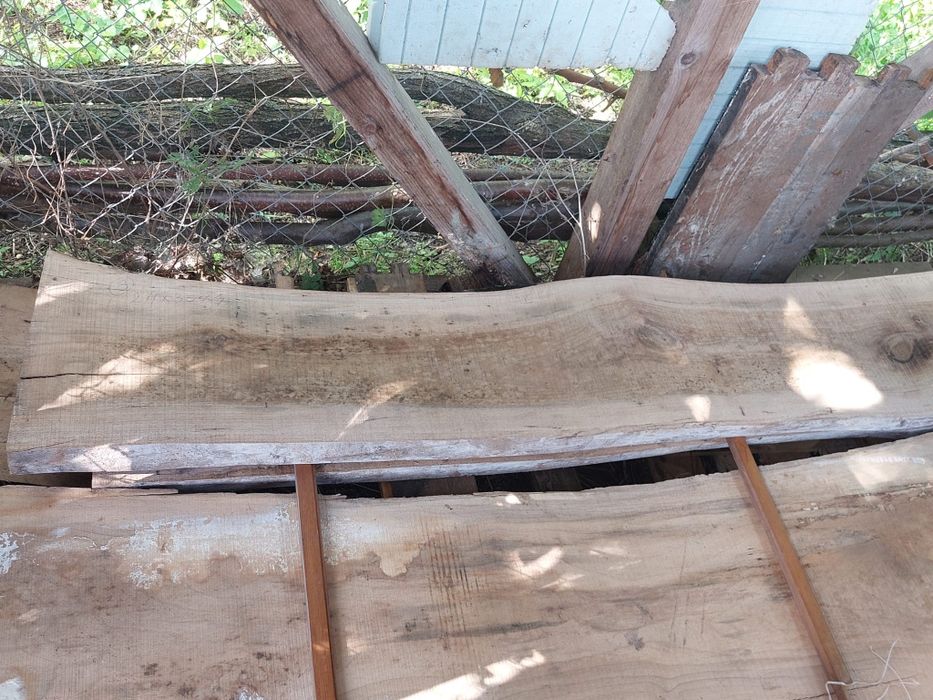 Vand cherestea-dulapi nuc netivita