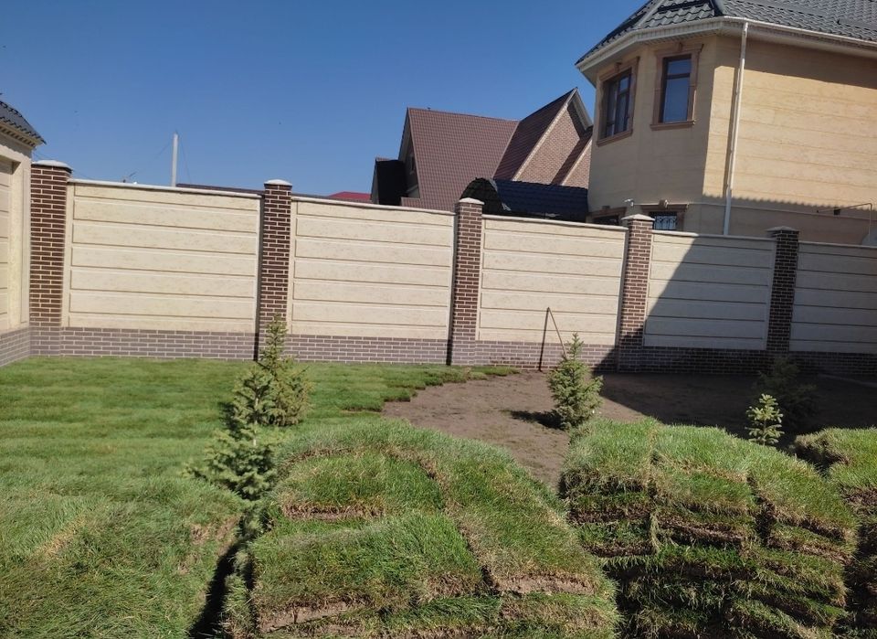 Вечно зелёный сад