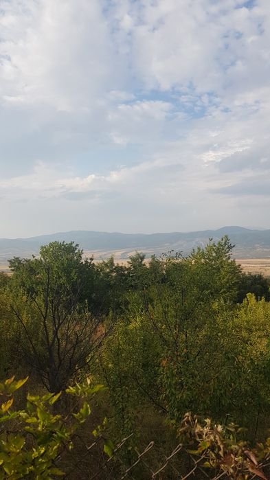 Продава се Парцел в Сапарева баня - 2200 кв.м за 21 €/кв.м - Снимка #6