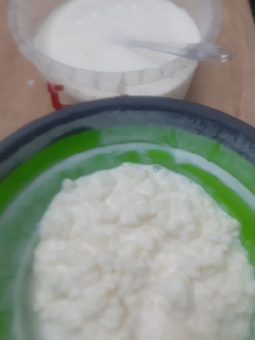 Vând celule kefir lapte Pitești