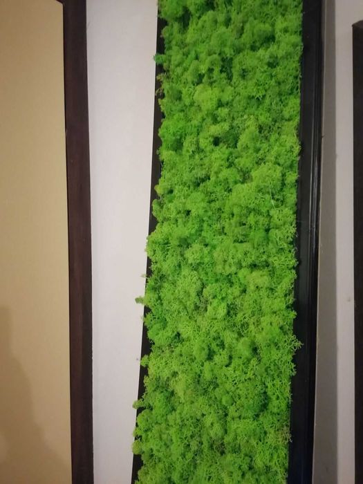 НАЙ-НИСКИ ЦЕНИ! Скандинавски мъх Пана , изработка от скандинавски мъх