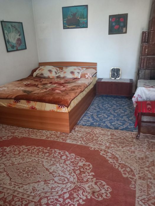 Vand casa în com. Bălești, sat Cornestii Noi