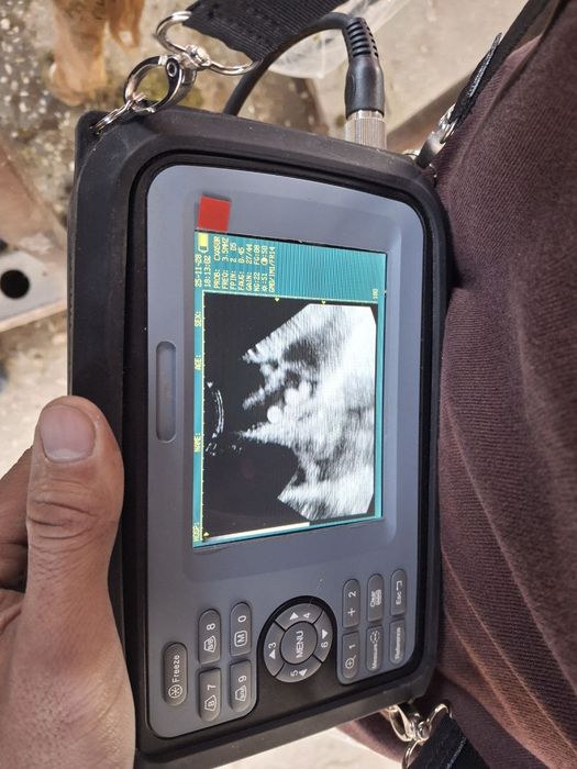 Hayvonlar uzi qilish