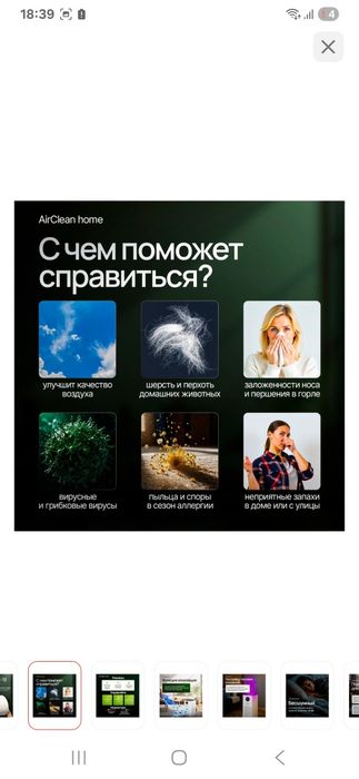 Жаңа табар алсаңыздар болады