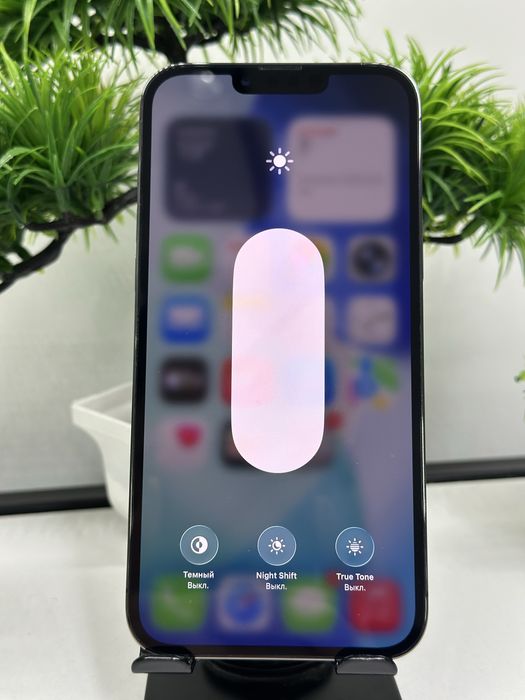 Iphone 13 Pro Max 256gb