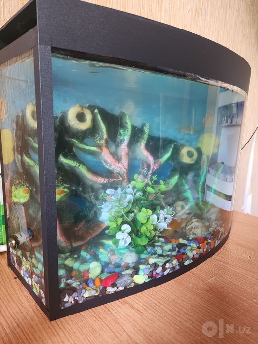Avarium 35 litr kotta
