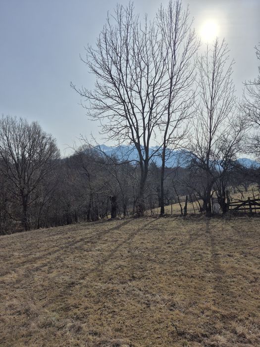 Teren Intravilan 1965mp Bran