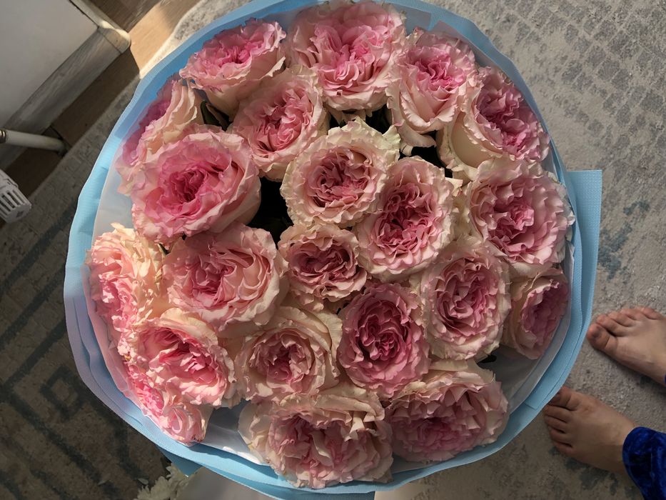 Роза 21 шт 5000тг