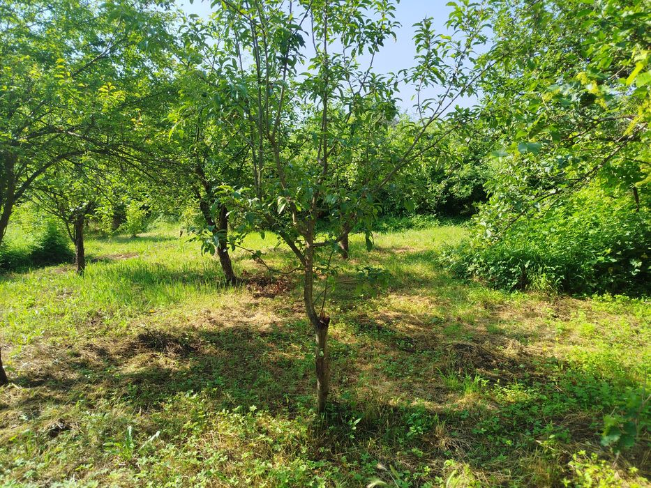 Продава Къща в с.Рашка Гращица