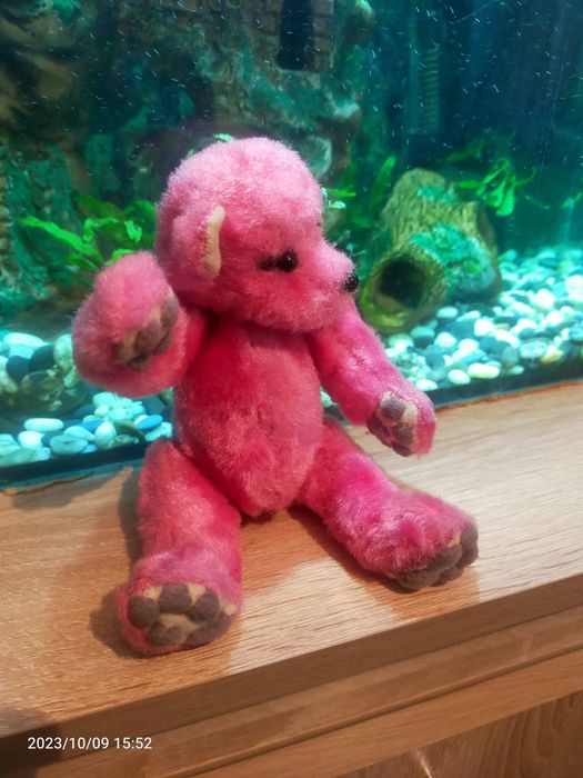 Прикольная милашка мишутка